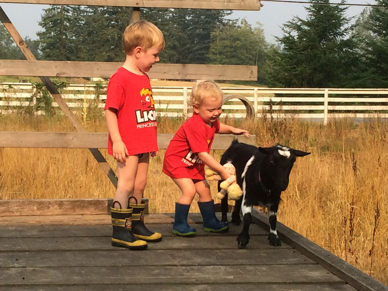 Our sons playing with our Nigerian Dwarf goat, Hailey