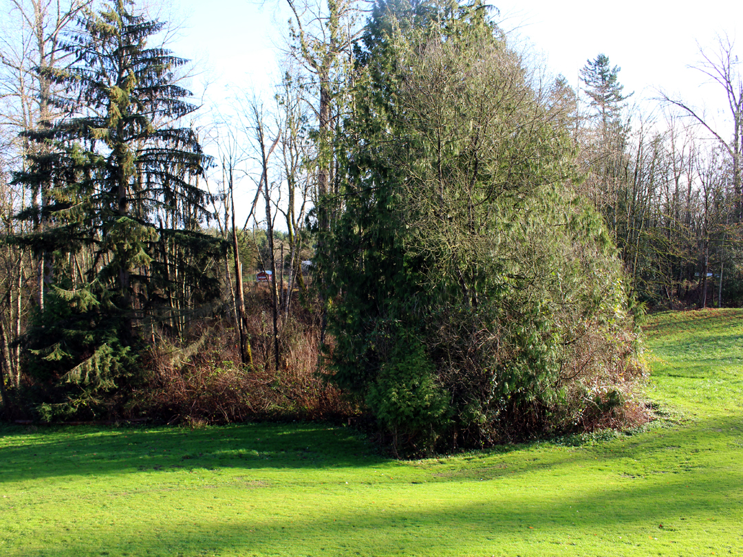 Our farm and forest where we forage for much of our materials while maintaining a healthy ecosystem.